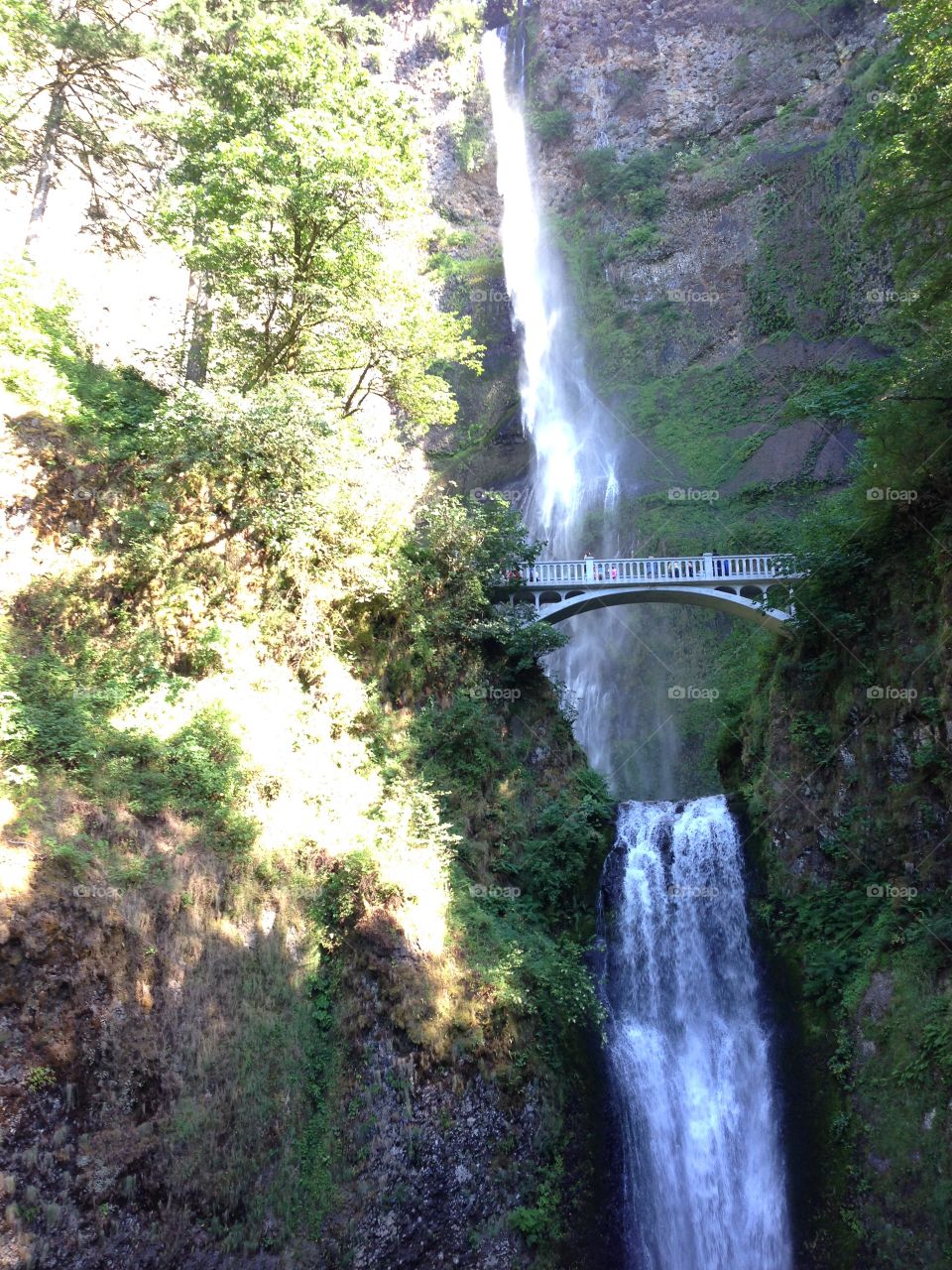 Multnomah Falls outside of Portland, OR.