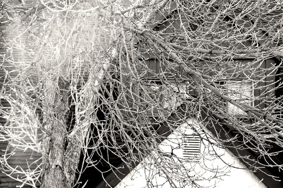 scary house in the neighborhood