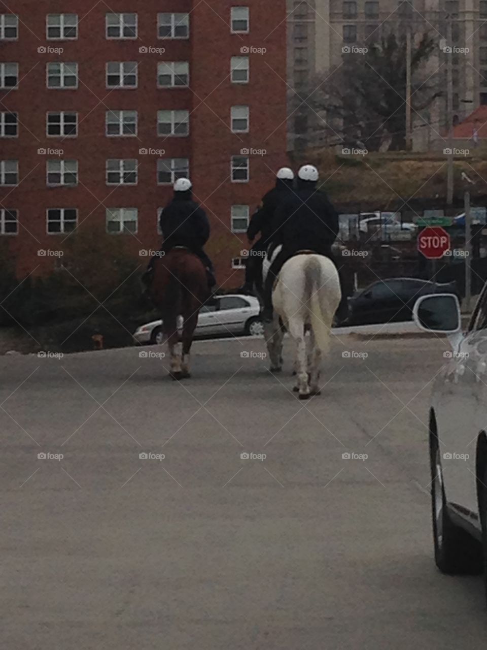 Policemen on horseback