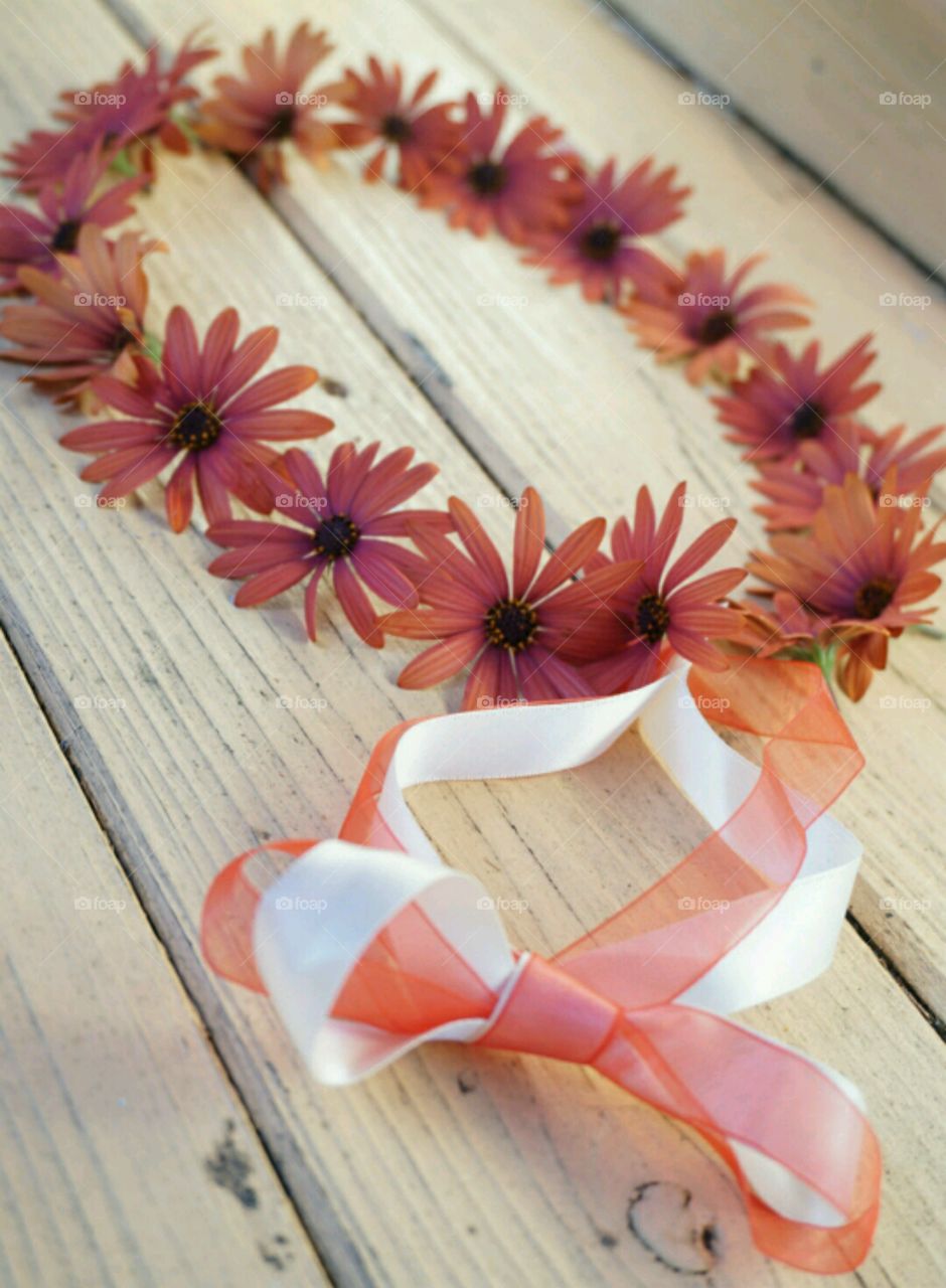 Flower Crown - Orange Daisy