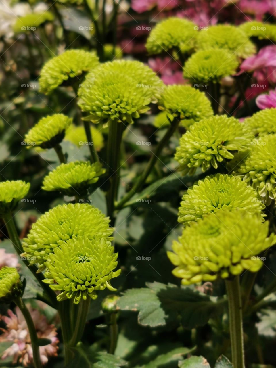 keep it as long as u can