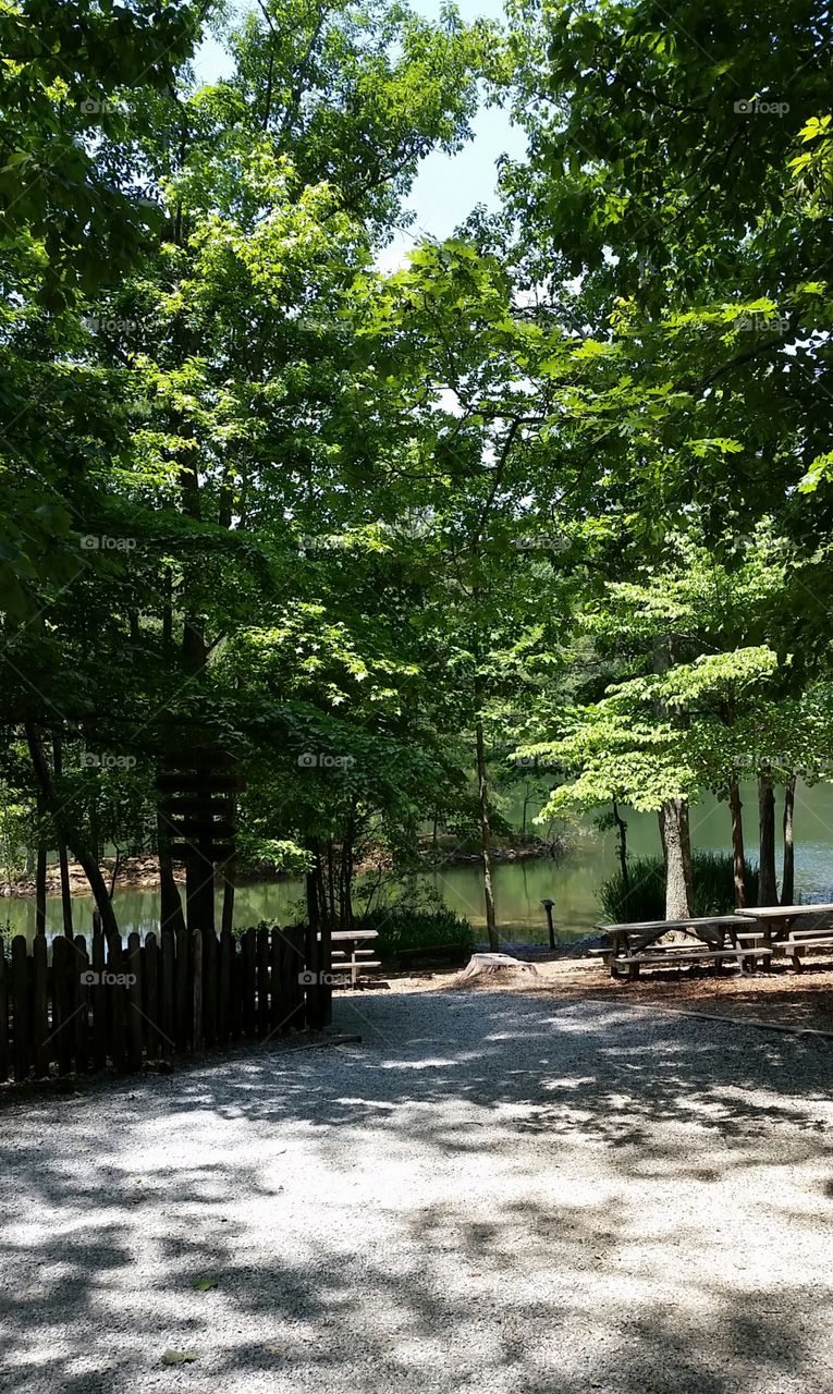 The Nature Trail, Green Mountain, AL