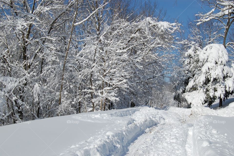 Snow covered country road in Ohio