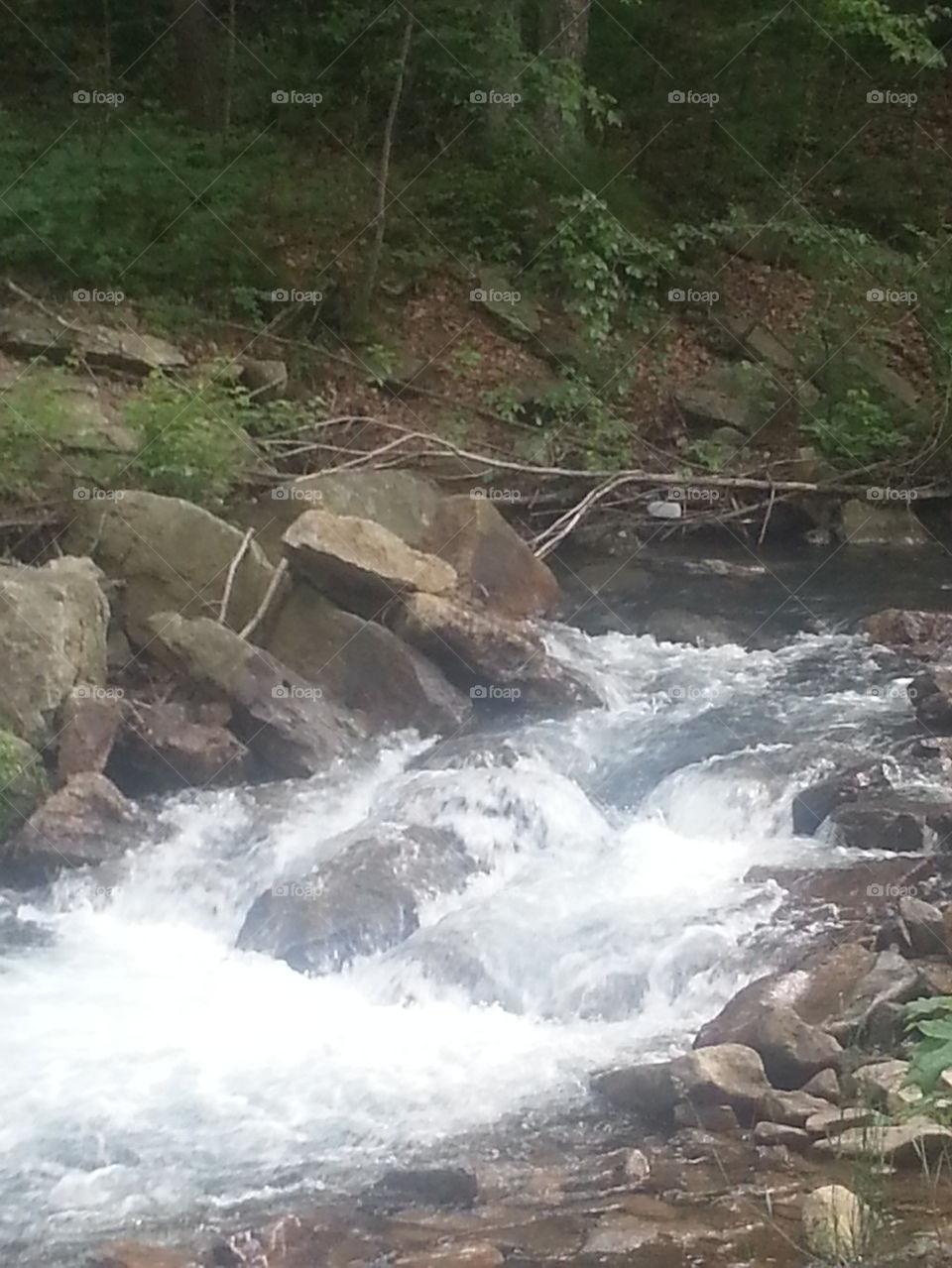 pretty creek