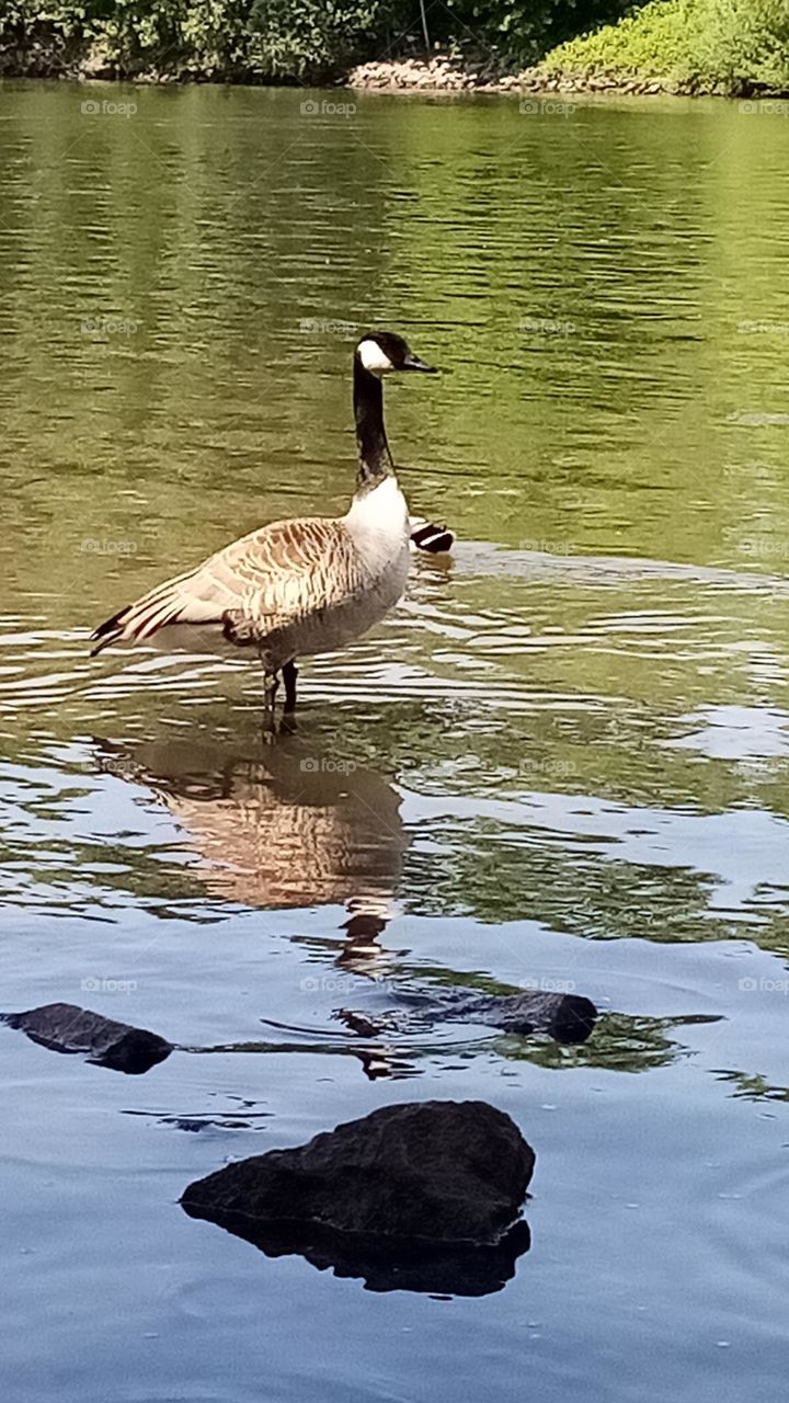Fluß Marina Deitschland