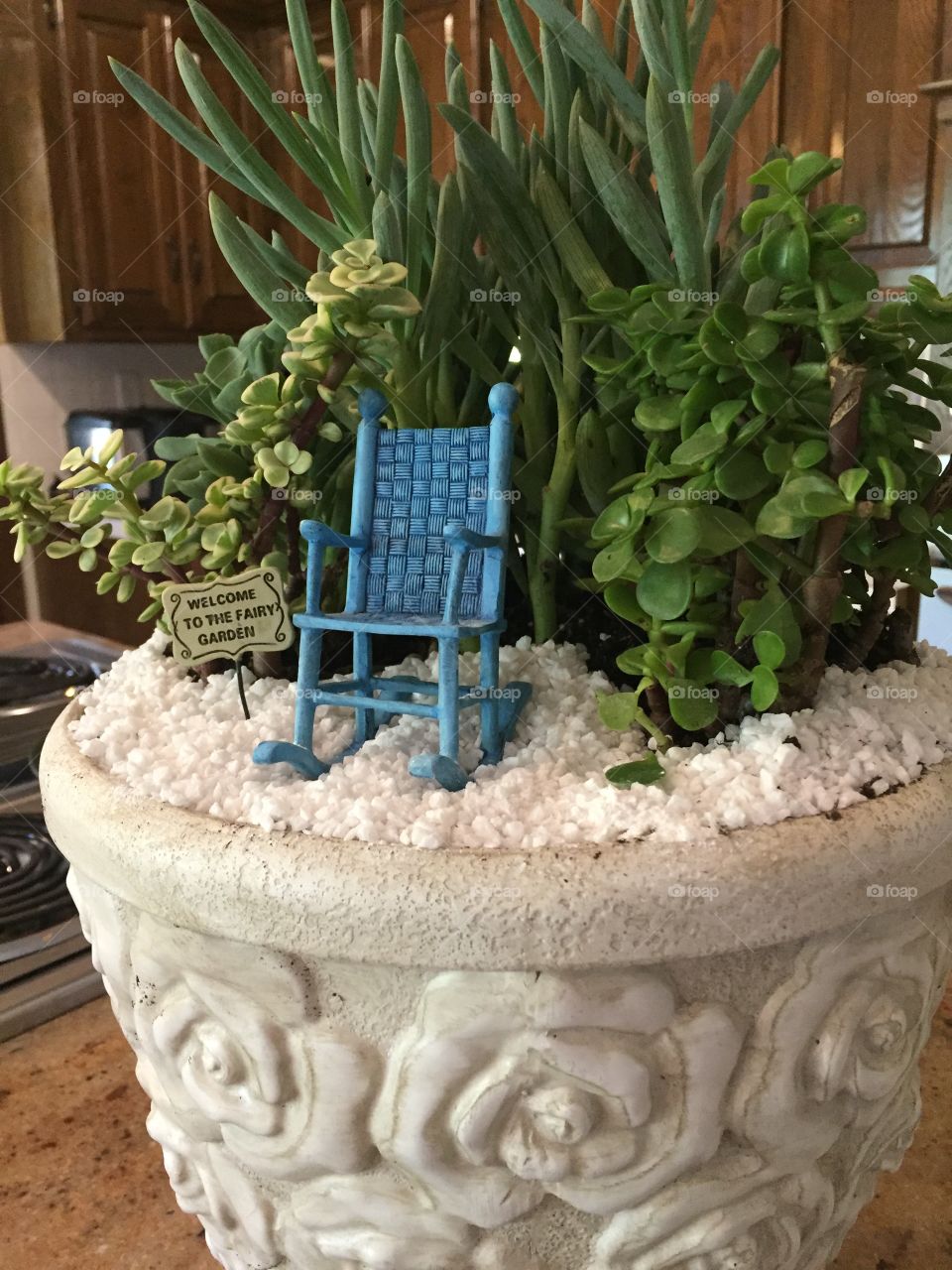 Miniature Fairy Garden 