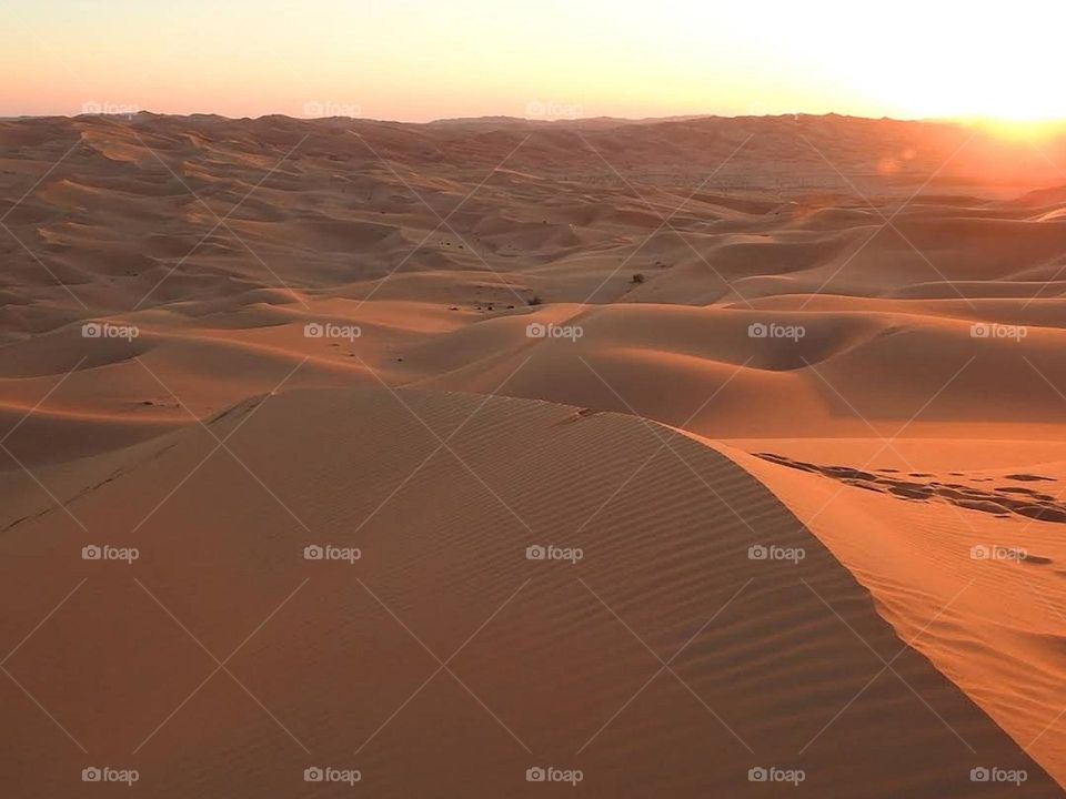 sahara ouarzazate morroco