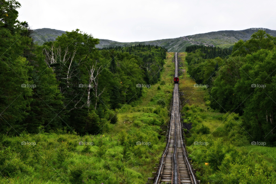 Railway bridge between the grass