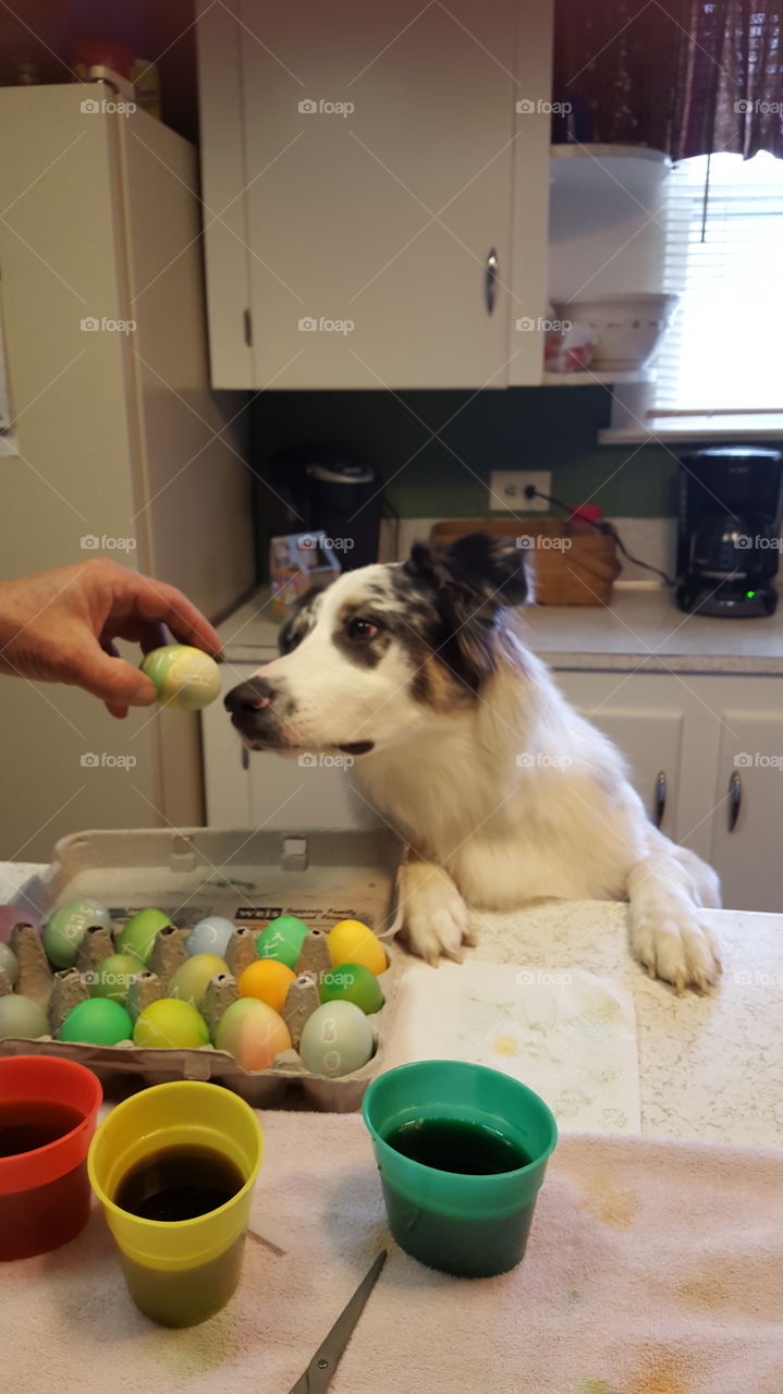Easter fun