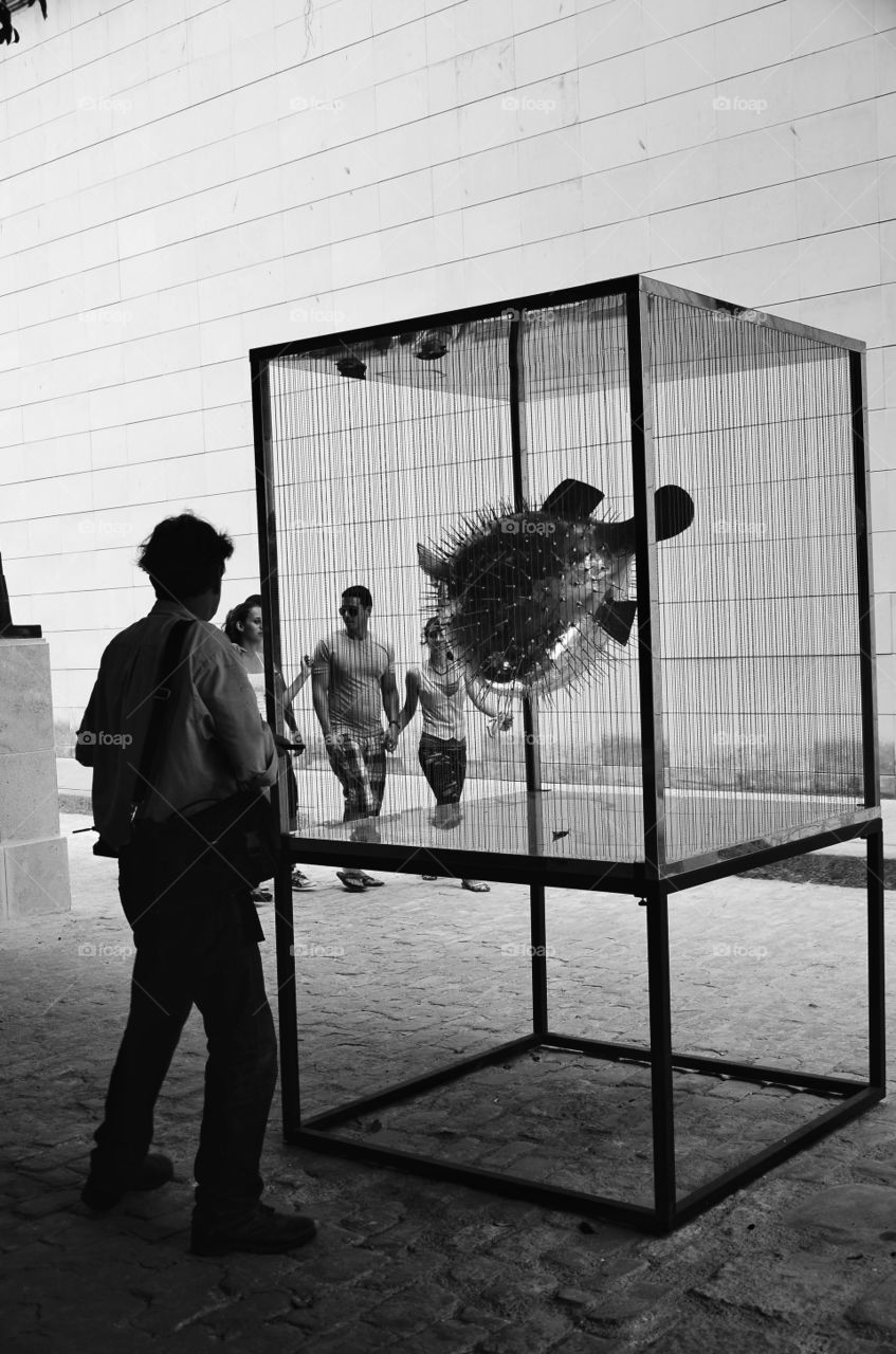 Exhibition of fish sculptures in metal in Havana