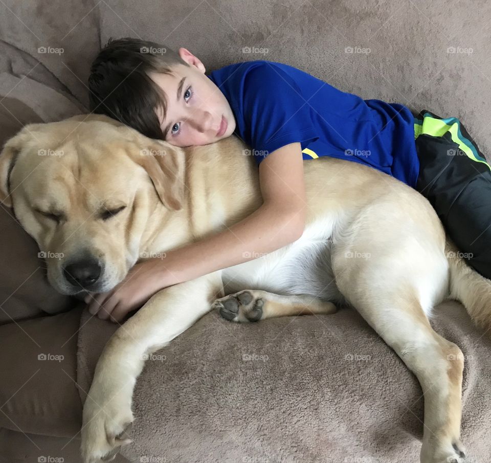 Man’s best friend, yellow lab with boy