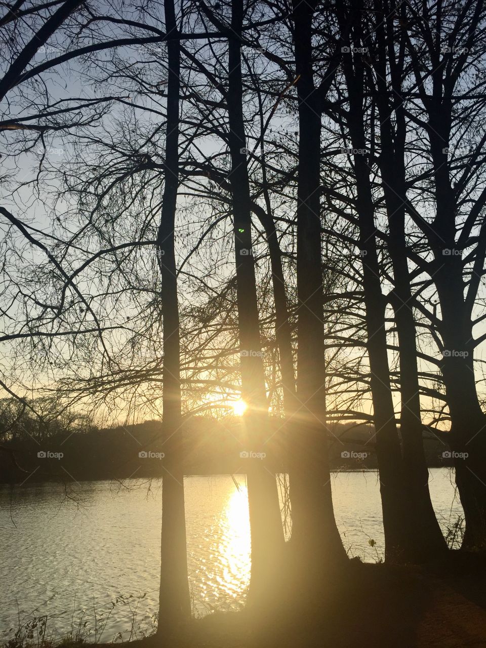 Zilker park in Austin, TX