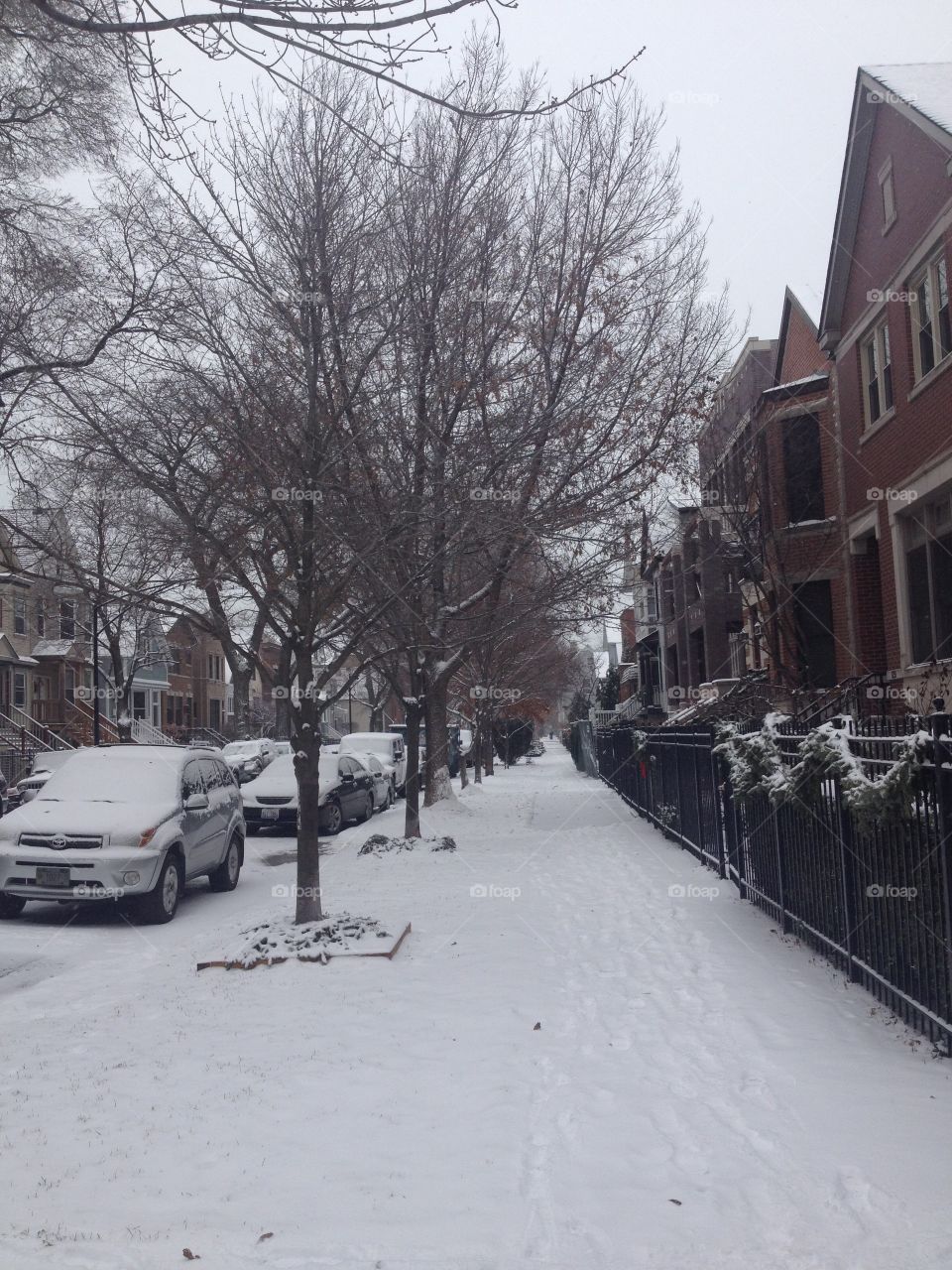 Snow in Chicago