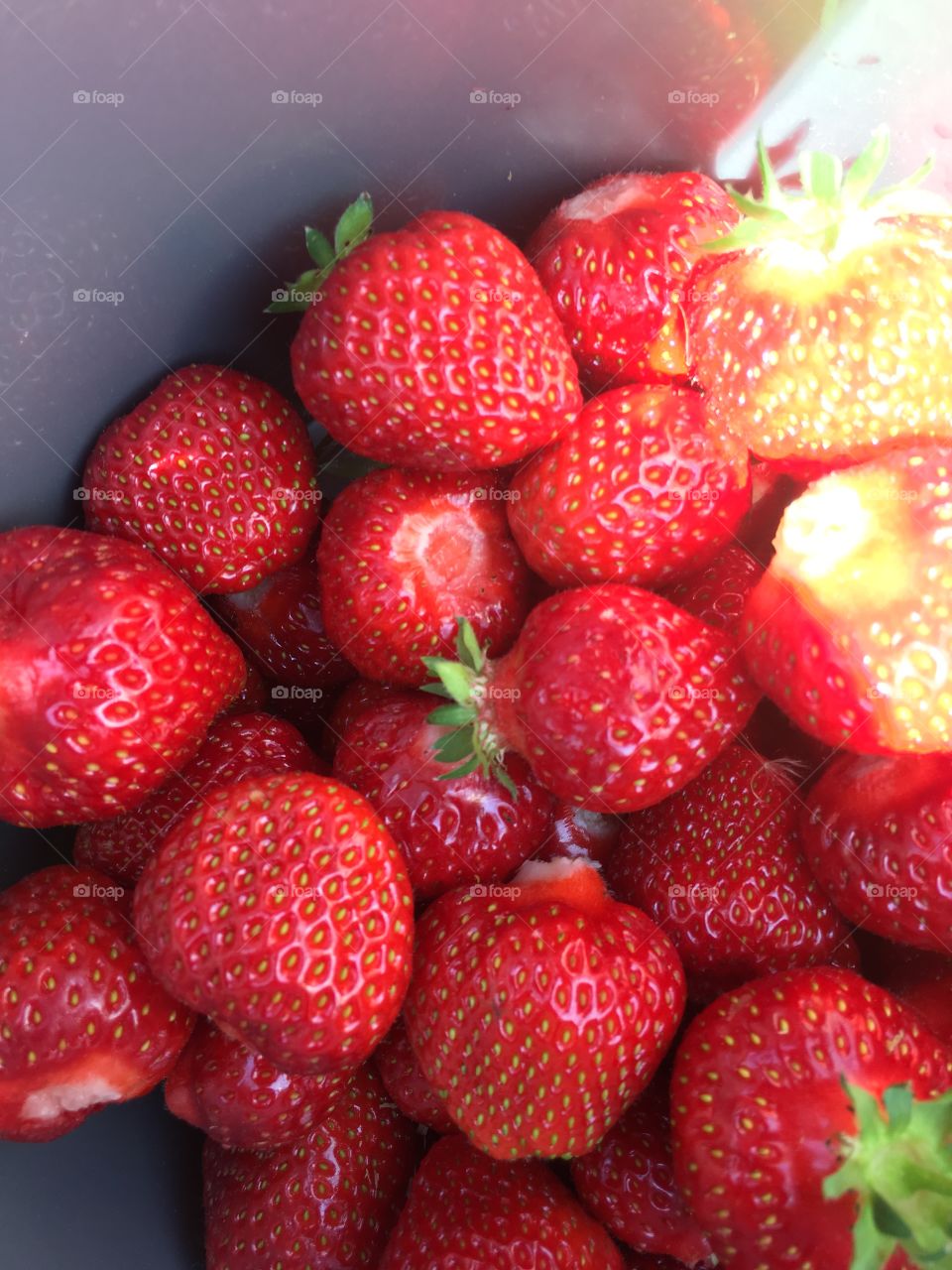 bucket with strawberries