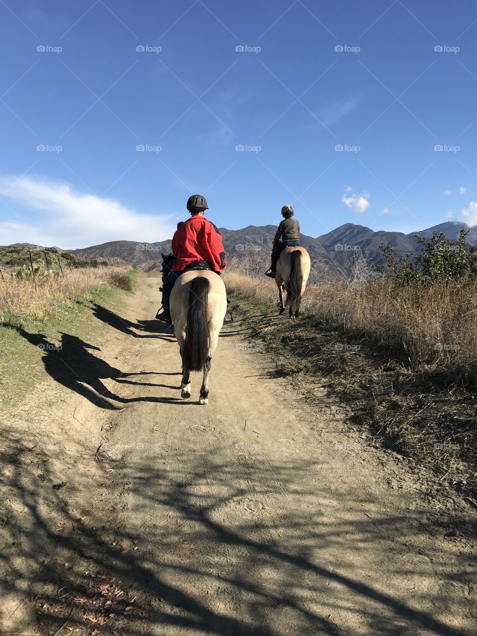 Early Morning Horseback Ride