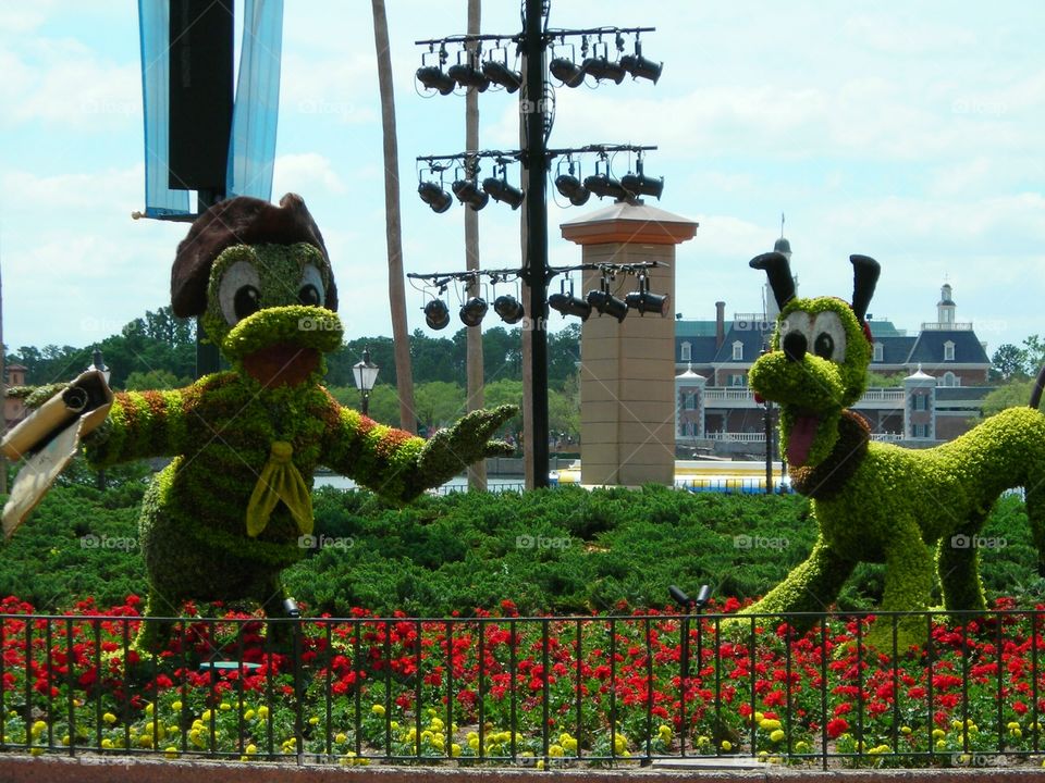 Disney Topiary
