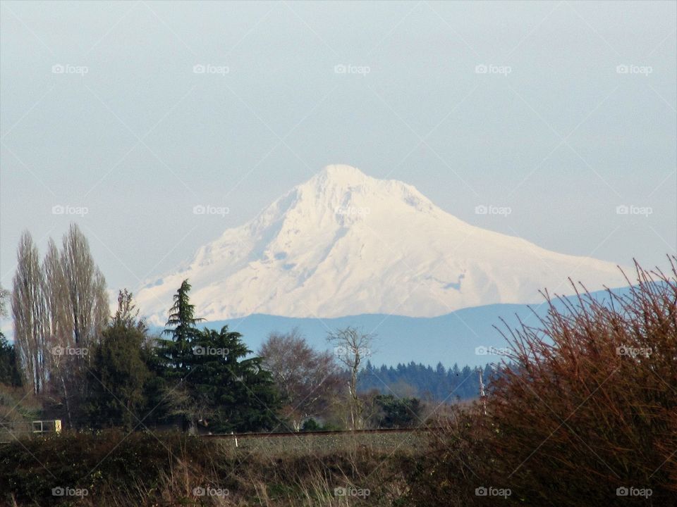 Mt Hood overlooking Willamette Valley