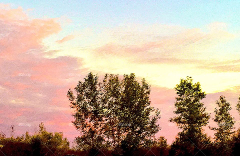 Trees in landscape silhouette against pink lit sunset in autumn in Midwest