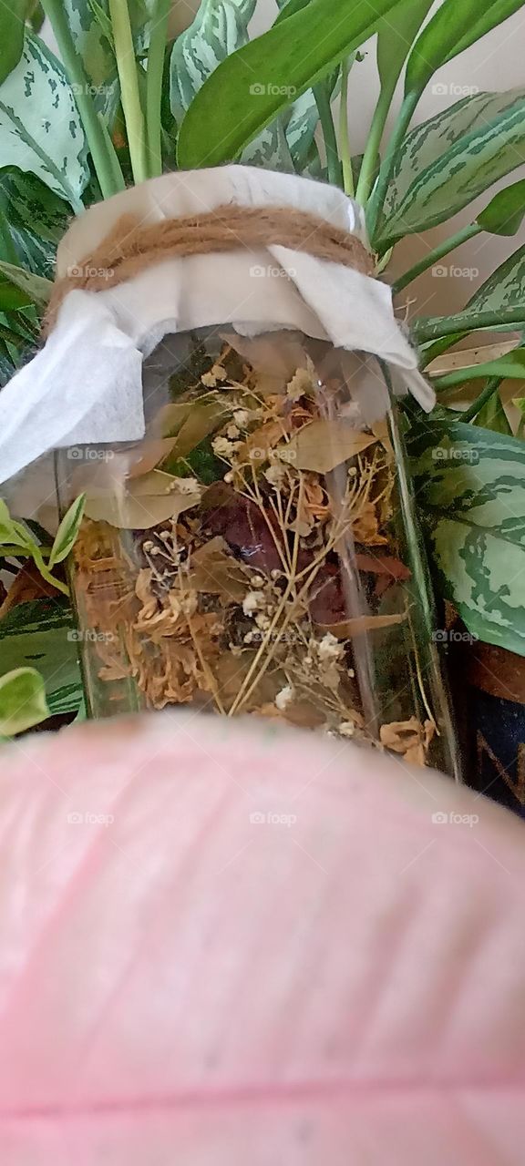 love nature in all forms, it has the healing power. I saved my dry flowers in a glass jar and gave them to my friends on Christmas Eve, Easter eve, many times