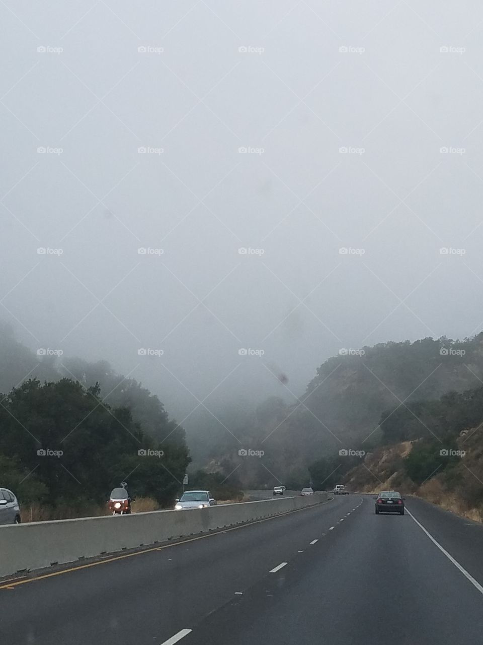 Foggy morning on the road