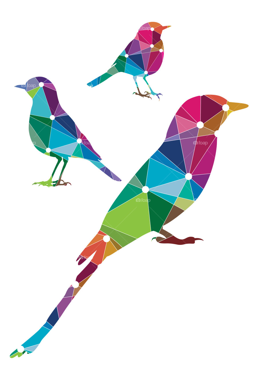 Colorful birds illustration abstract