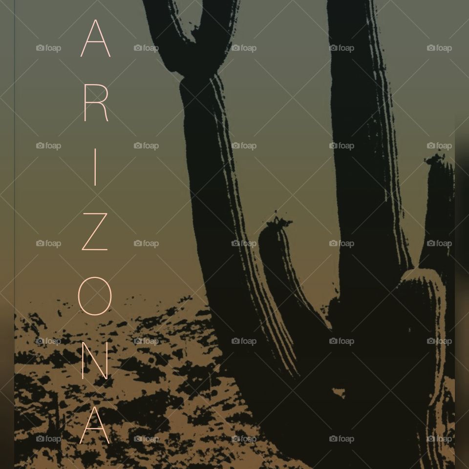 Arizona