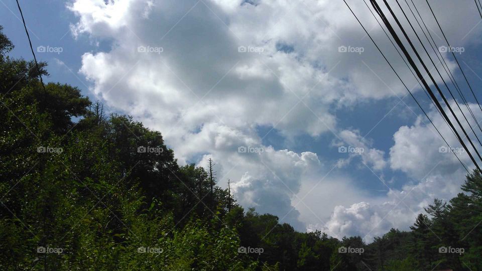 Landscape, Sky, Tree, Nature, Cloud