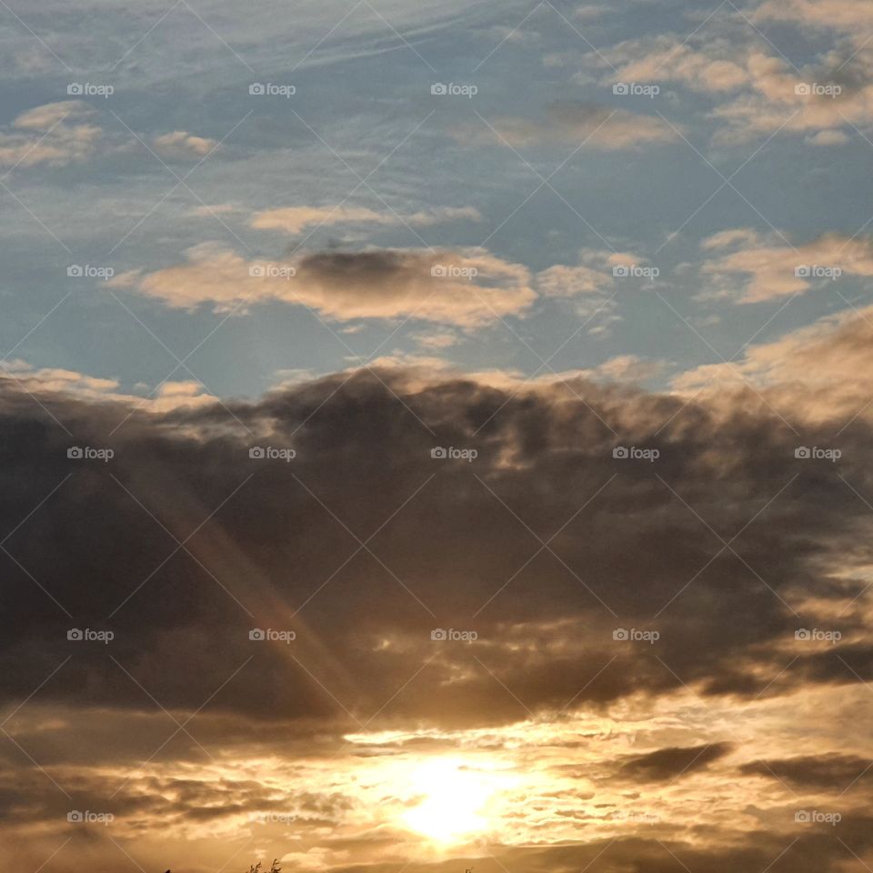 The sun under the blue sky, evening view. golden hours - The Netherland