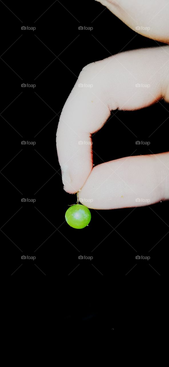 Baby grape it was so cute I had to take this. 🌹