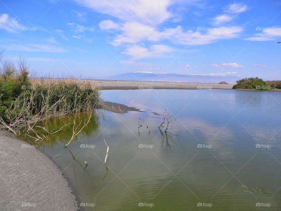 View of idyllic lake