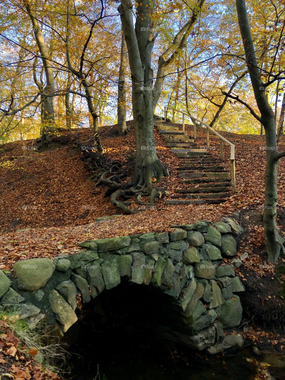 Autumn bridge and stairs in autumn colors