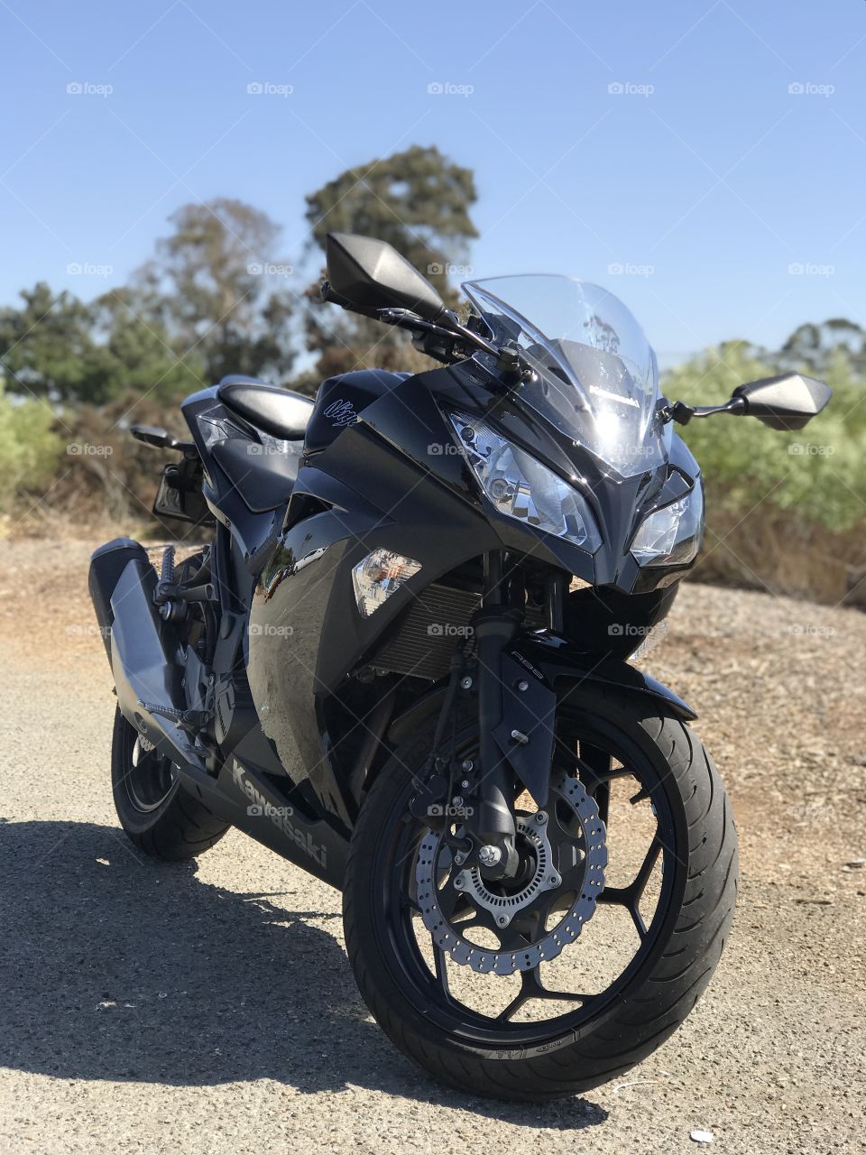 Kawasaki Ninja 300 motorcycle 
