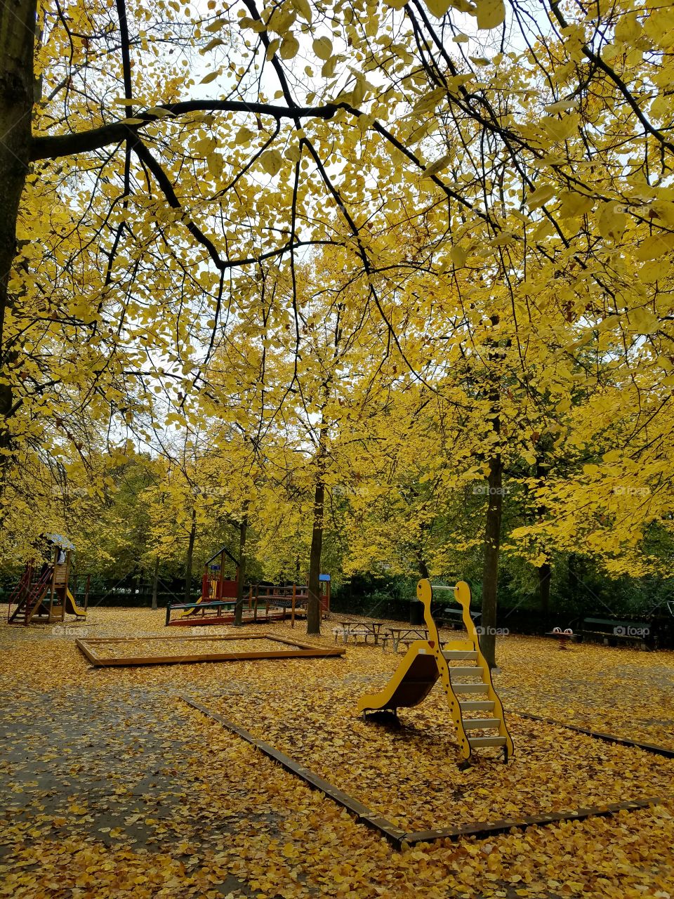 Yellow park