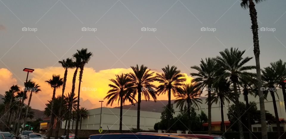 Golden sunset and palm trees at Harrah's Resort and Casino.
California sunset.
Parking lot.