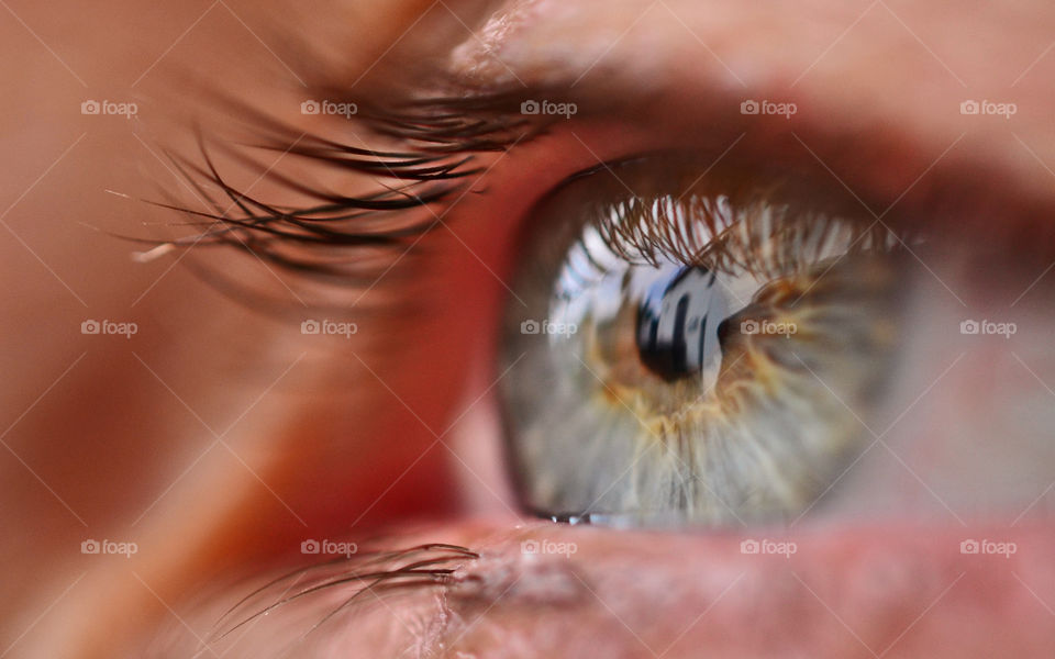 Extreme close-up of human eye