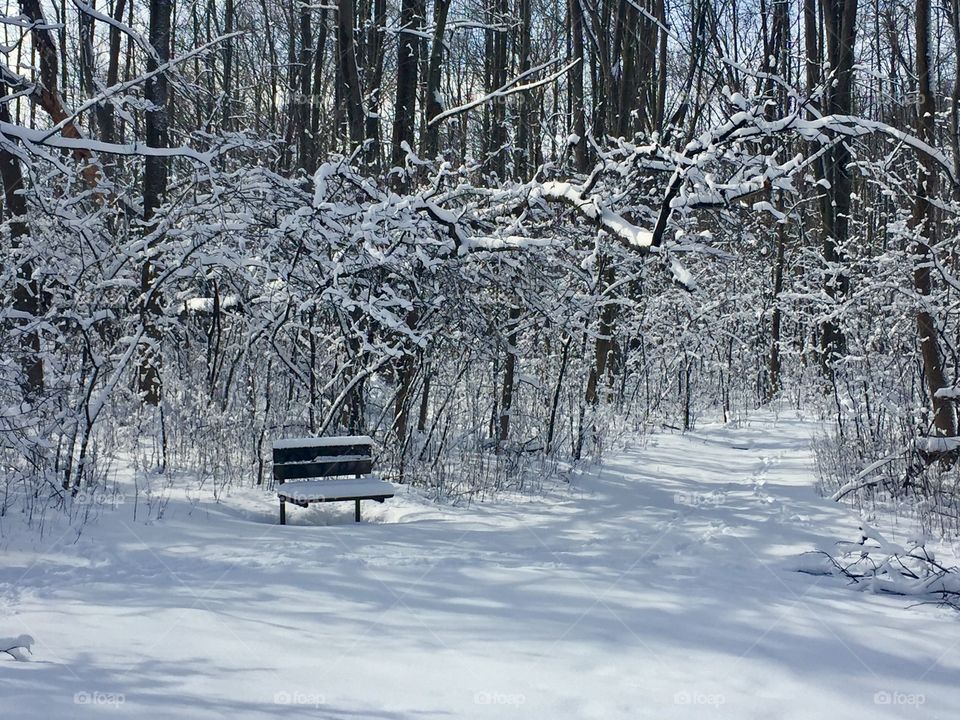 Solo bench 