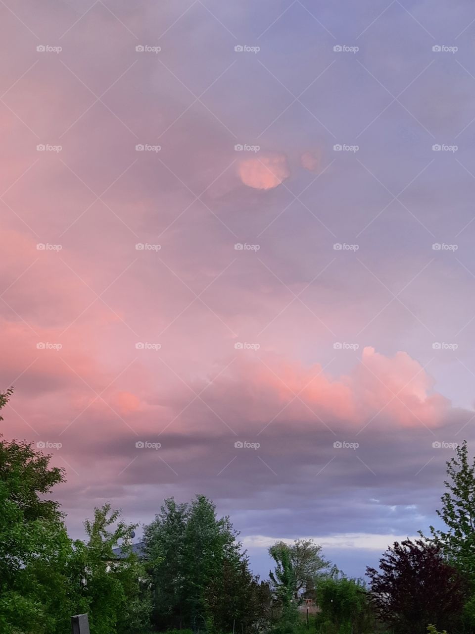 pink clouds  at summer sunset