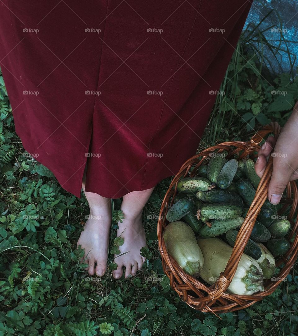 The season of homemade green vegetables
