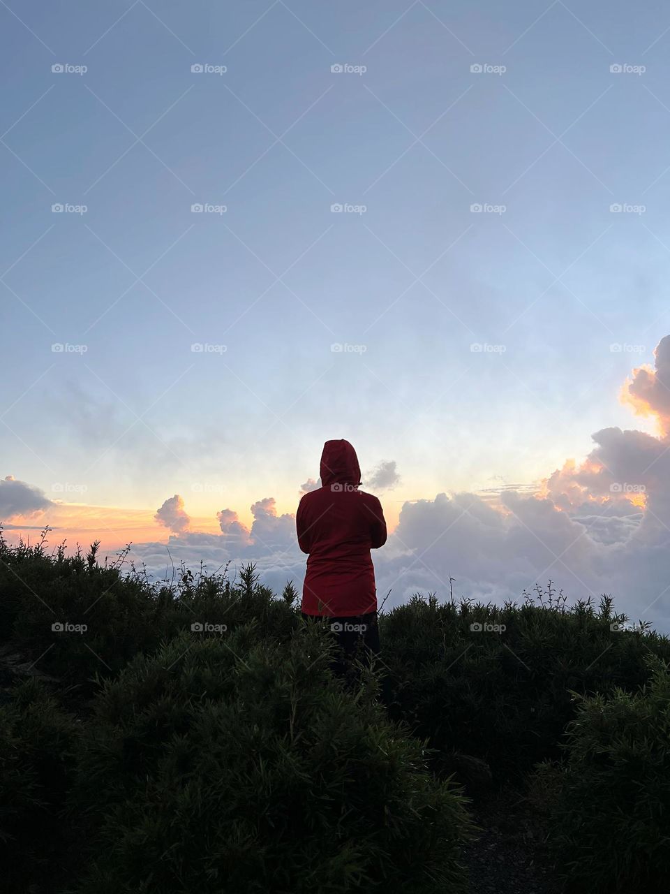 Back of a person look into the clouds