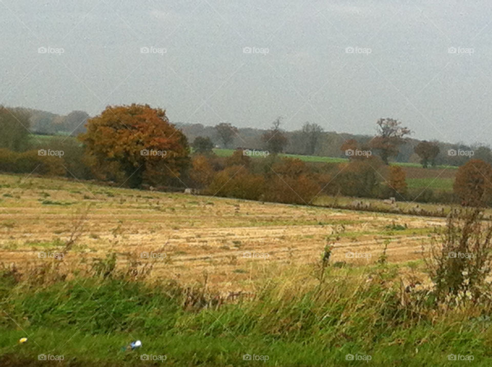 field autumn grey sky mission5 by mini_zoe