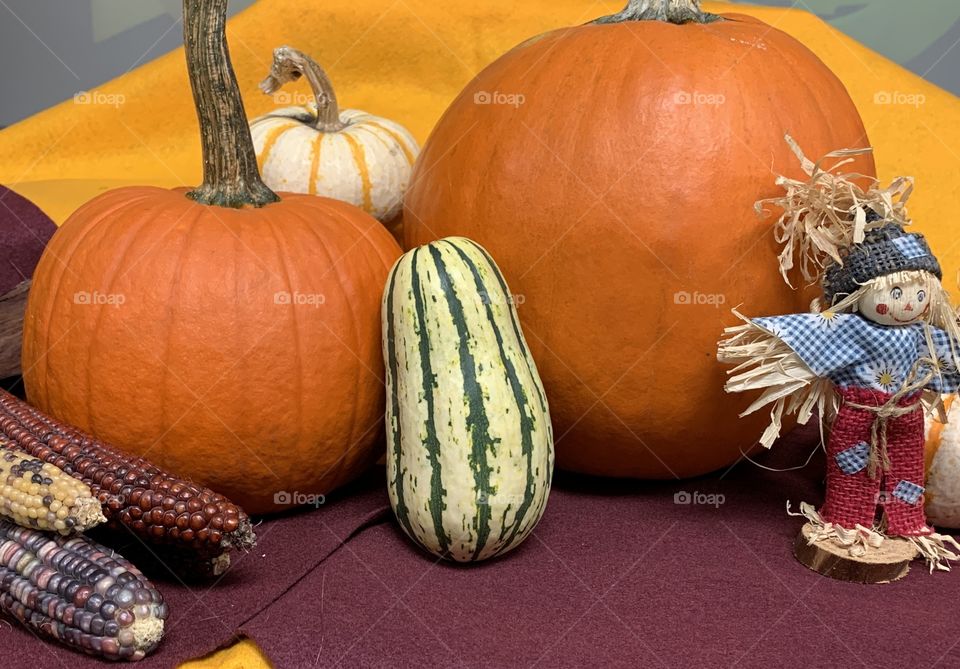 Fall still life arrangement of pumpkins, gourds, corn, scarecrow
