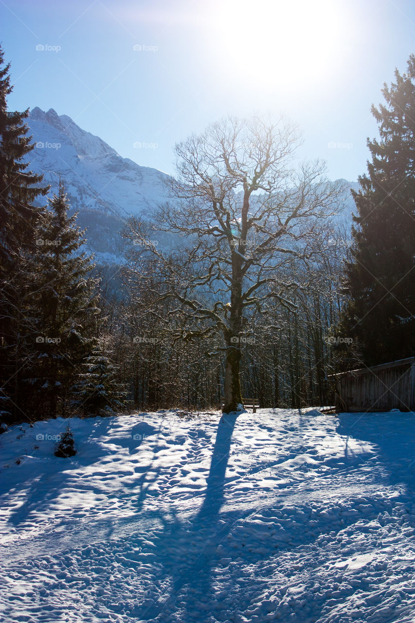 German alps