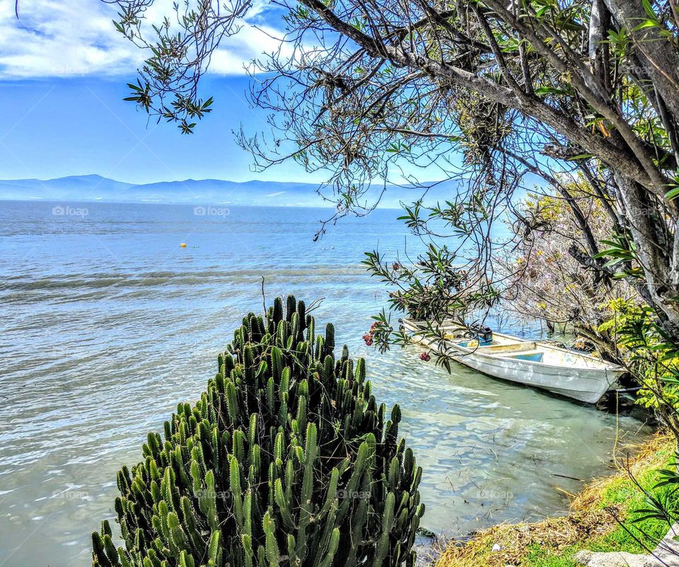 Lonely boat scorpian island chapala lake
