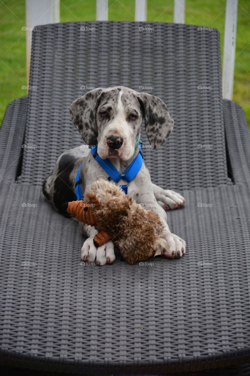 Summer Sitting