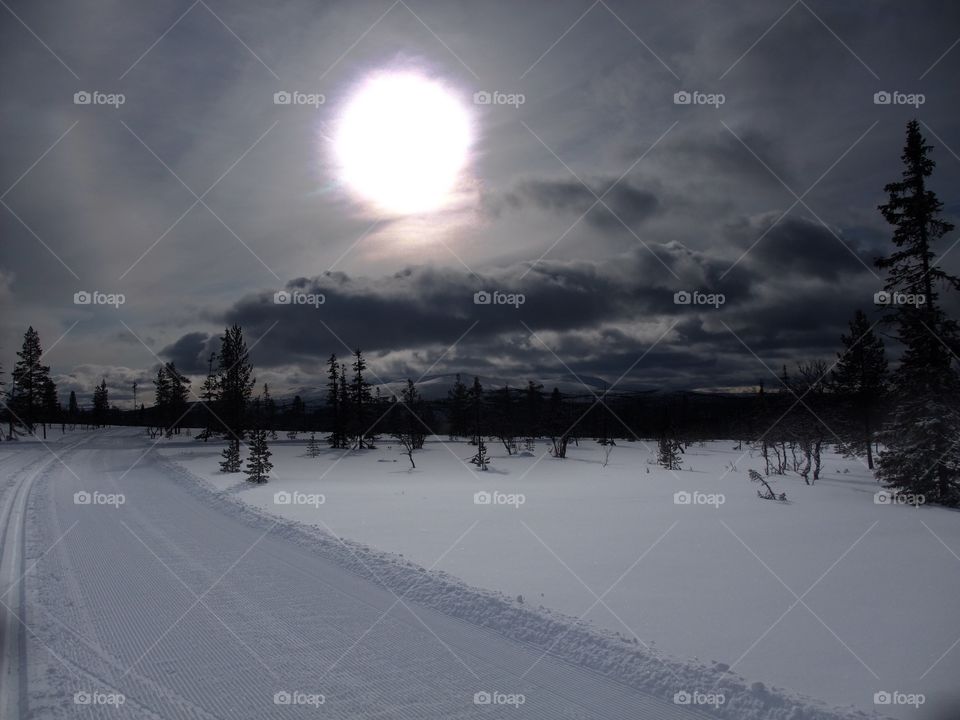 Scenic view of winter landscape