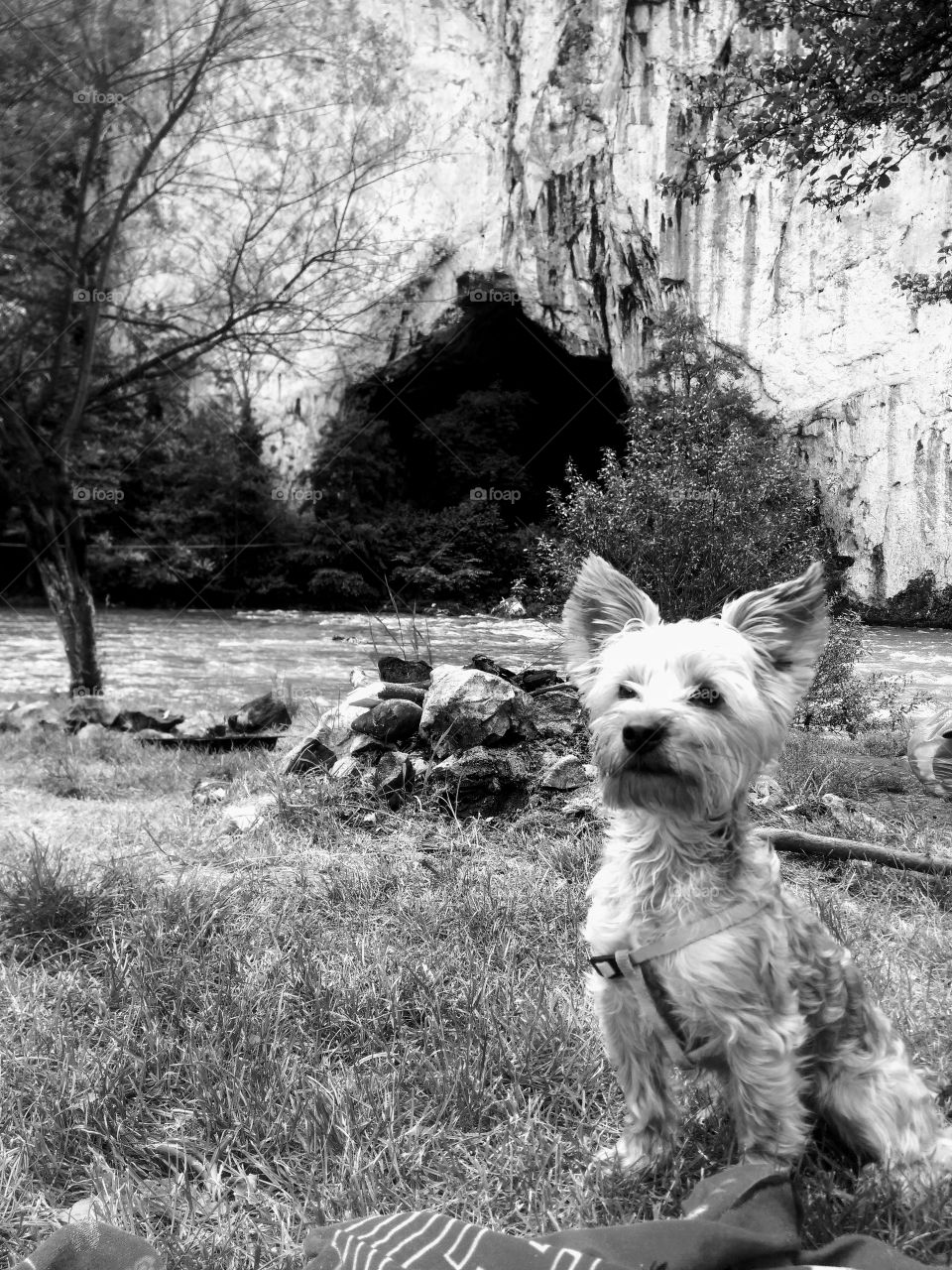 hike with my companion