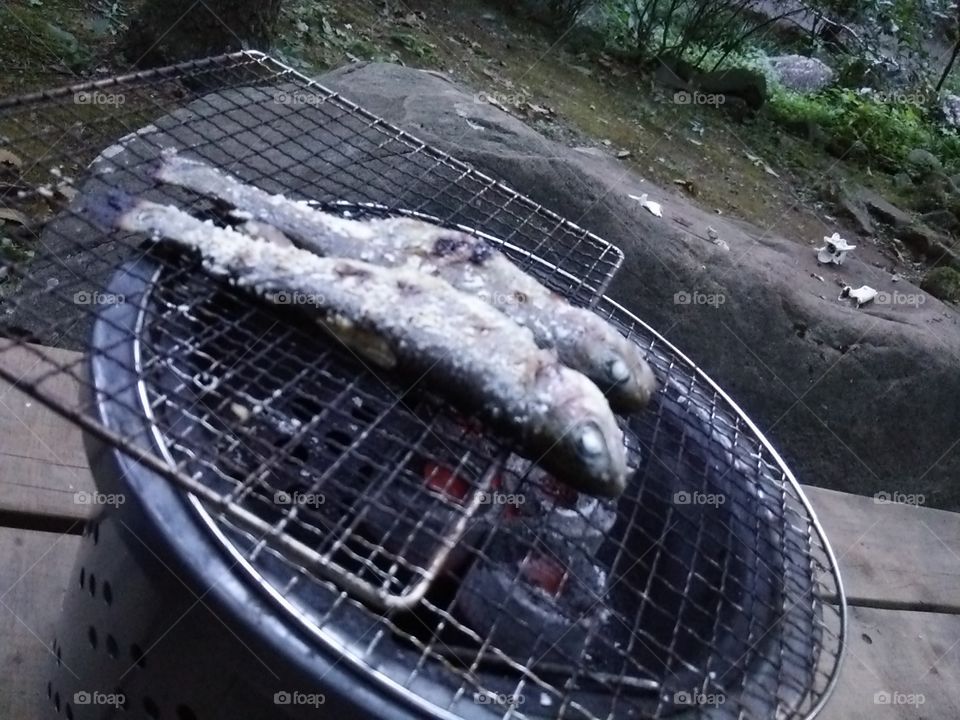 Sanma やで(*´∀｀)