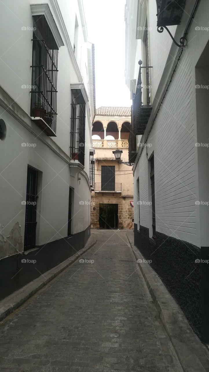 paseando Sevilla