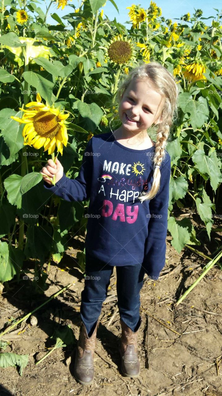 Happy little girl in sunflower field