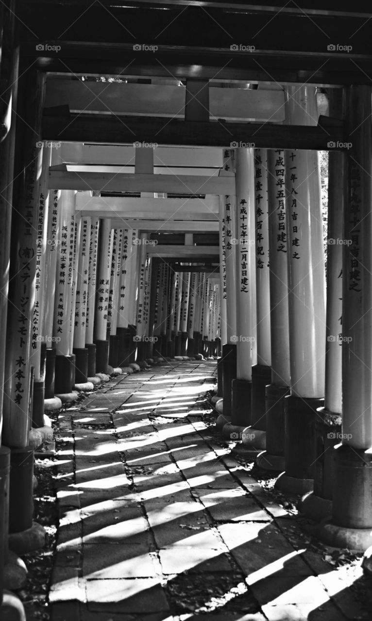 Fushima Inari Tori Gates. Fushima Inari tori gates and shadows. Kyoto Japan. 